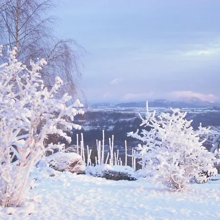 Plus Belle La Vue - Sancy Saint-Pierre-Colamine